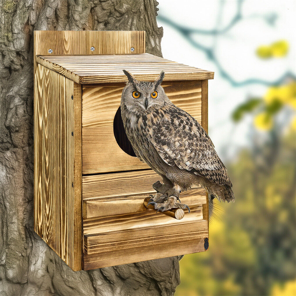 Wooden Owl Nesting Box and Bird Feeder